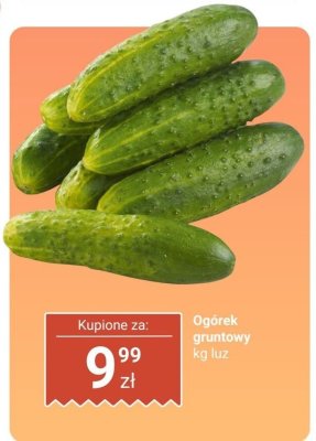 Og贸rek gruntowy polska promocja w Biedronka