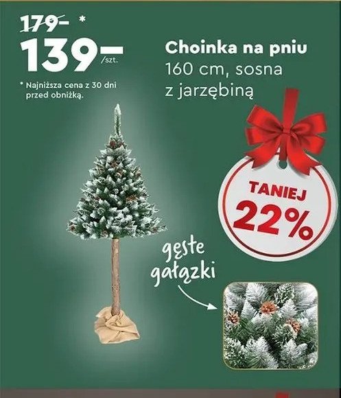 Choinka na pniu 160 cm promocja w Biedronka