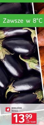 Bakłażan promocja w Selgros