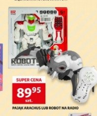 Robot paj膮k arachus Hh poland promocja