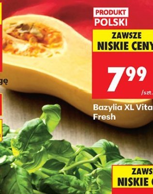 Bazylia XL promocja w Biedronka