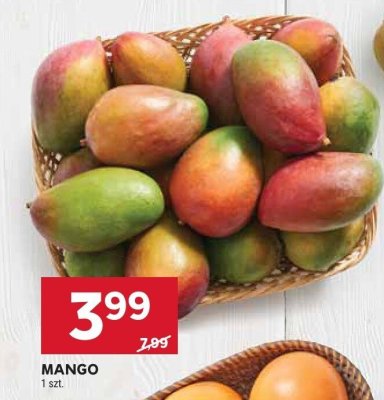 Mango promocja w Stokrotka