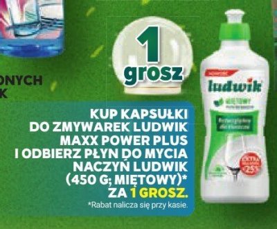 Płyn do zmywania naczyń Ludwik Maxx Power Plus + płyn do mycia naczyń Ludwik mięta 450g promocja w Stokrotka