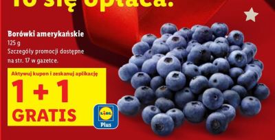 Borówki amerykańskie 1+1 GRATIS promocja w Lidl