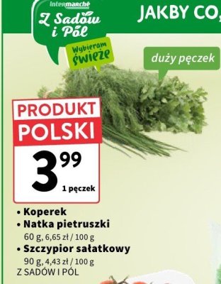 Szczypior sa艂atkowy promocja w Intermarche