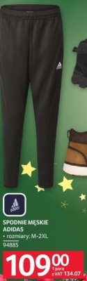 Spodnie męskie Adidas promocja w Selgros