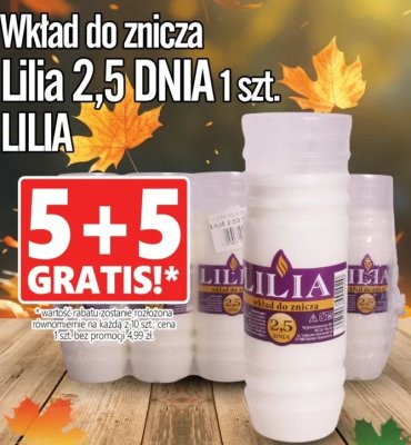 Znicz promocja w Prim Market