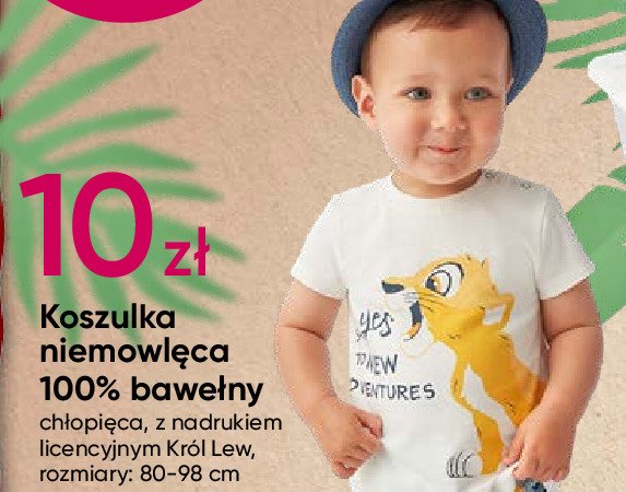 Koszulka niemowlęca 80-98 król lew promocja