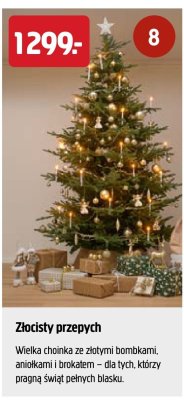 Choinka Złocisty przepych promocja w Jula