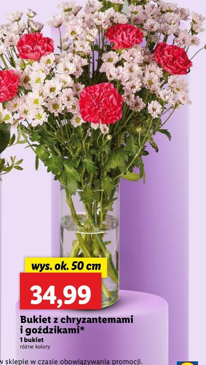 Bukiet z goździkami 50 cm promocja w Lidl