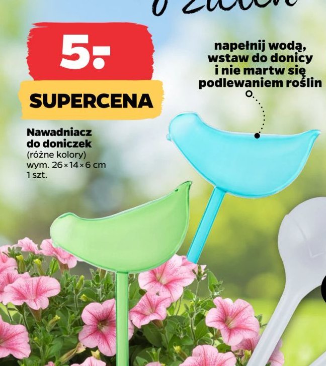 Nawadniacz do roślin doniczkowych promocja w Netto