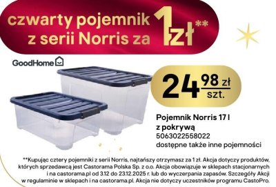 Pojemnik Norris 17 l z pokrywą GoodHome promocja w Castorama