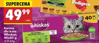 Karma dla kota mix smaków Whiskas promocja