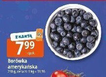 Borówka amerykańska 250g promocja w Leclerc