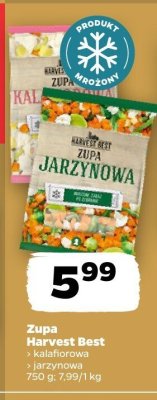 Zupa kalafiorowa  promocja w Netto