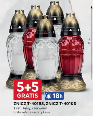 ZNICZ T-401BS, ZNICZ T-401KS promocja w Stokrotka