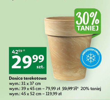 Donica terakotowa 31 x 37 cm promocja