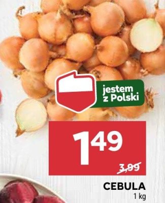 Cebula promocja w Stokrotka
