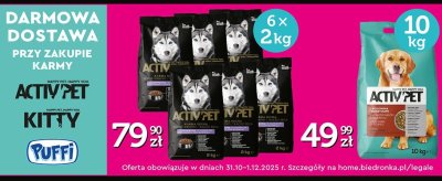 Karma dla psów Activ Pet 10kg promocja w Biedronka