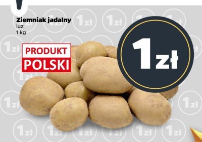 Ziemniak jadalny promocja w Netto