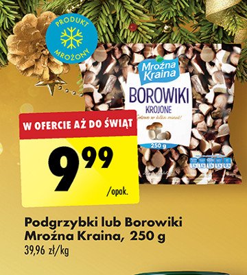 Podgrzybki krojone Mroźna kraina promocja w Biedronka