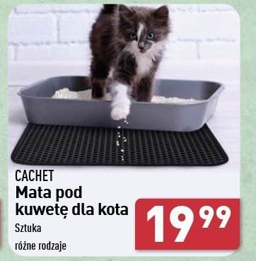 Mata pod kuwetę Cachet promocja