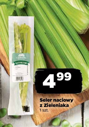 Seler naciowy Z ZIELENIAKA NETTO promocja