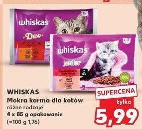Karma dla kota zestawy klasyczne Whiskas duo promocja