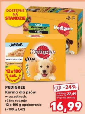 Karma dla psów w saszetkach, różne rodzaje 12 x 100g  promocja w Kaufland