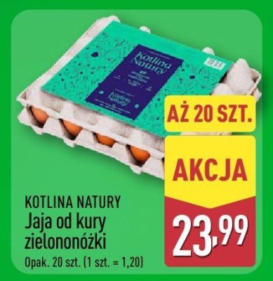 Jaja od kury zielononóżki promocja w Aldi