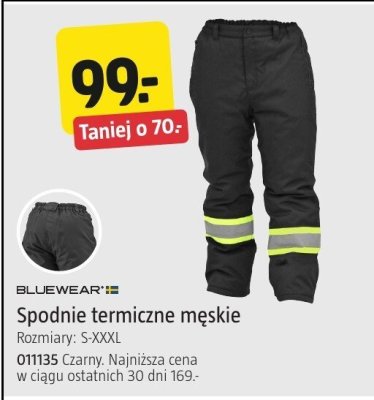 Spodnie termiczne męskie Bluewear Rozmiary: S-XXXL promocja w Jula