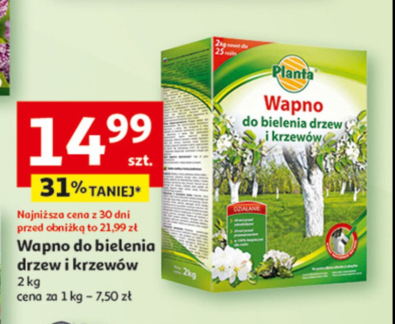 Wapno do bielenia drzew i krzewów Planta (ogrodowe) promocja w Auchan