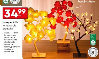 Lampka LED w kształcie drzewka różne rodzaje promocja w Biedronka