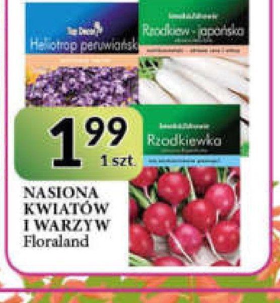 Rzodkiew japo艅ska SMAK&ZDROWIE promocja