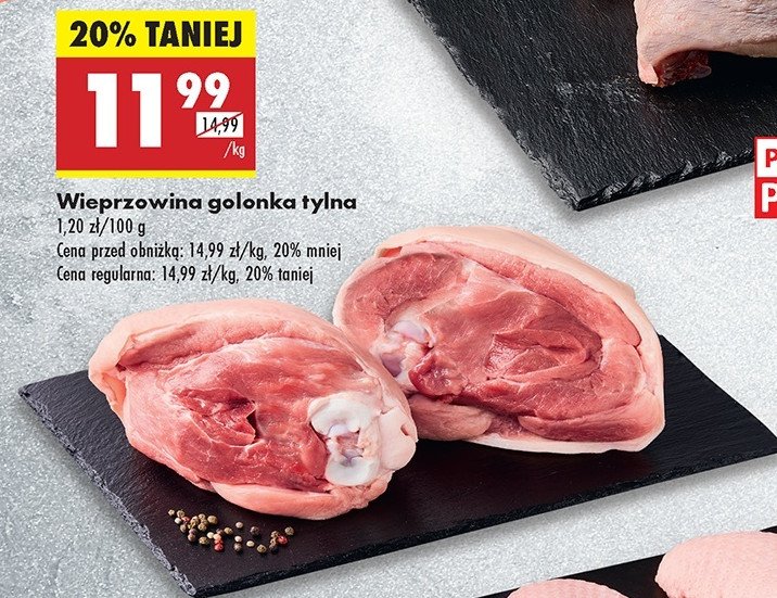 Golonka tylna promocja