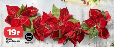 Stroik - girlanda na stół, 68 cm promocja w Netto