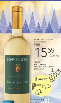 Wino białe BENVENUTO PINOT GRIGIO promocja w Selgros