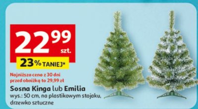 Choinka Sosna Kinga lub Emilia promocja w Auchan