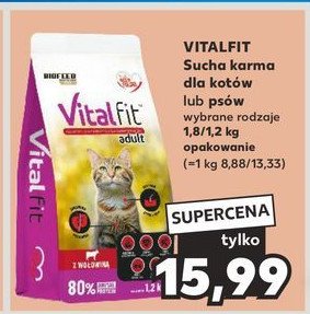 Karma dla kota z wołowina Biofeed vitalfit promocja