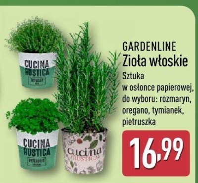 Zioła włoskie  promocja w Aldi