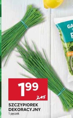 Szczypiorek dekoracyjny promocja w Stokrotka