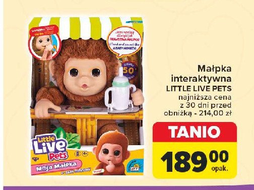 Małpka Little live pets promocja w Carrefour