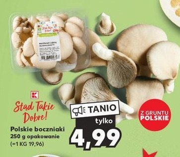 Boczniaki K-classic stąd takie dobre! promocja