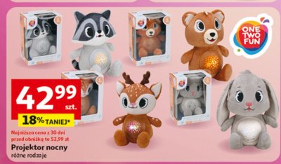 Projektor nocny różne rodzaje promocja w Auchan