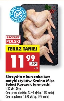 Skrzydełka z kurczaka Kraina mięs promocja