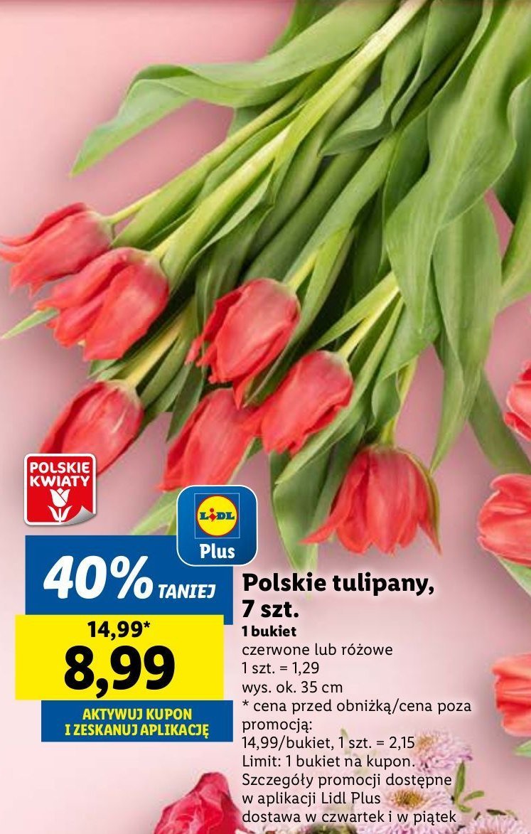 Tulipany czerwone 35 cm promocja