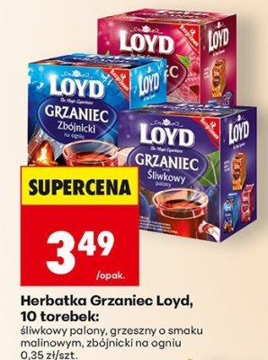 Herbatka Grzaniec Loyd, 10 torebek, różne rodzaje promocja w Biedronka