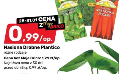 Nasiona Drobne Plantico różne rodzaje promocja w Bricomarche