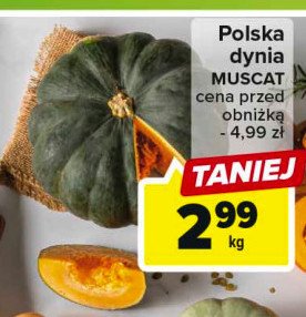 Dynia zielona muscat promocja