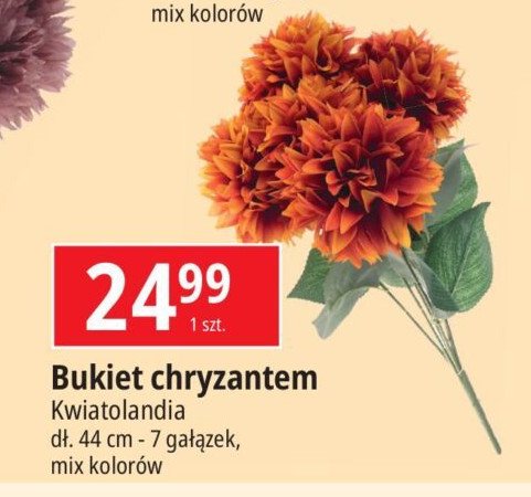 Bukiet chryzantem 44 cm Kwiatolandia promocja